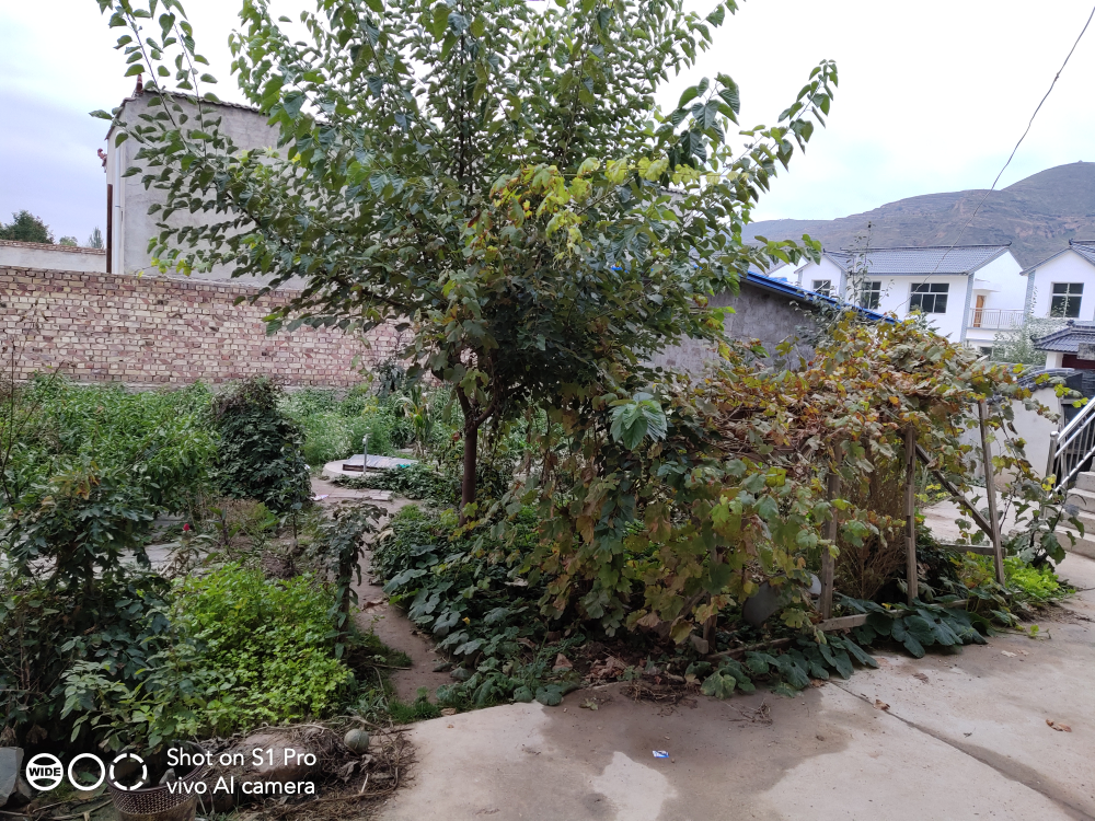 【國慶打卡第六天】小雨，休息中