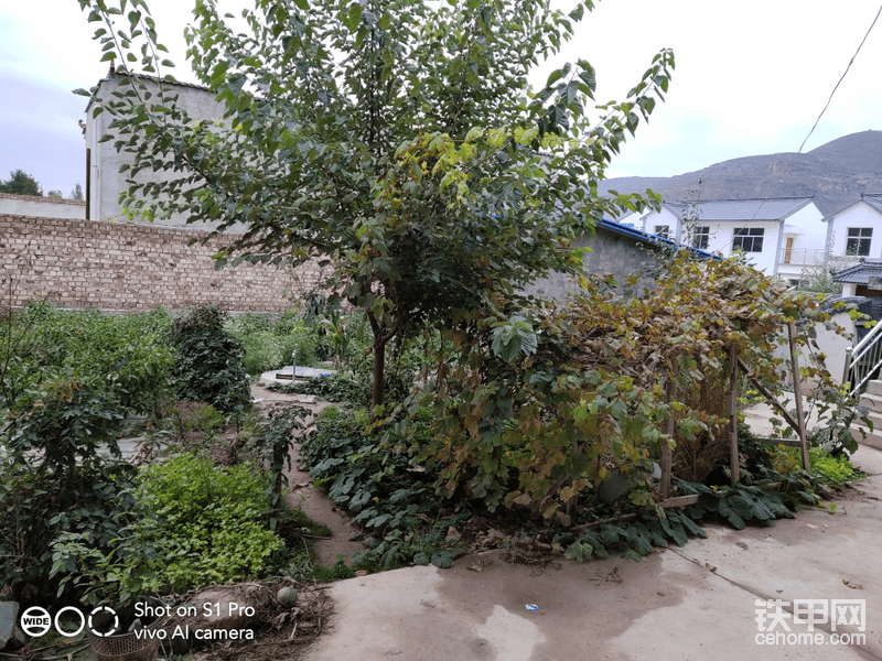 下班了雨停了。<img class="smiley" src="/img/smiley/new/tiejia3.gif">