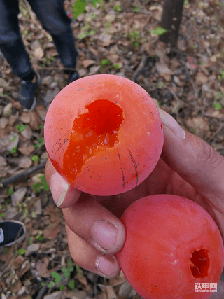 一场秋雨一场寒啊