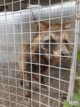 一场秋雨一场寒啊