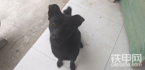 日记之今天的‘心想事成’