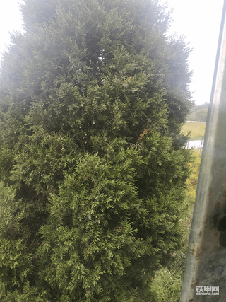 爱护环境人人有责