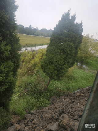 爱护环境人人有责