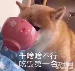 【爱上铁甲小事③】干啥啥不行吃啥啥不剩