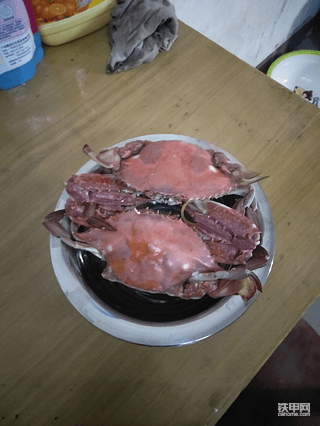 【爱上铁甲小事4】伙食好坏，我们都依旧在坚持！