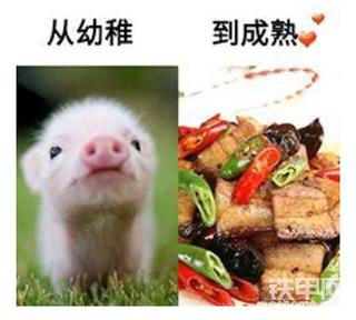 【爱上铁甲小事⑤】愿你走过半生归来仍是当年勇士