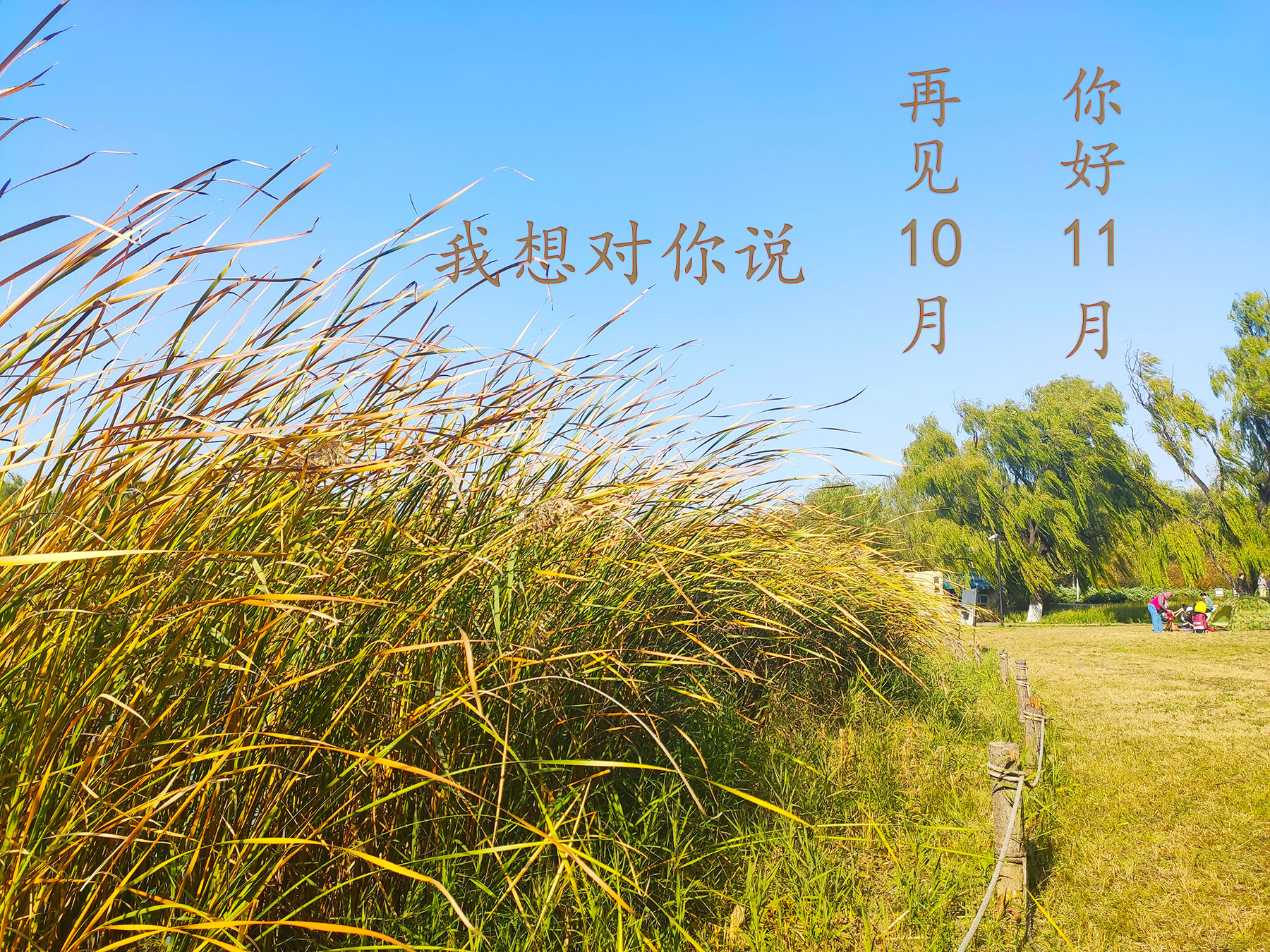 【有獎(jiǎng)活動(dòng)】再見(jiàn)10月，11月我想對(duì)你說(shuō)？