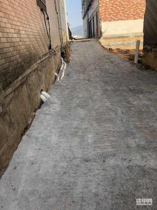［你好11月］被放大鸽子