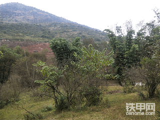 這么好的風(fēng)景我又來毀林開荒，實(shí)在是不忍心啊