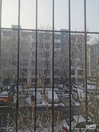 北京的初雪，好喜人！