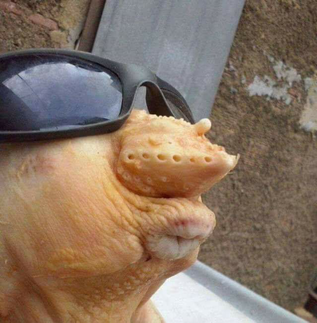 牛不牛