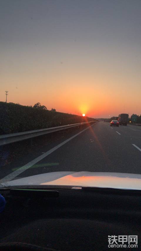 夕阳红