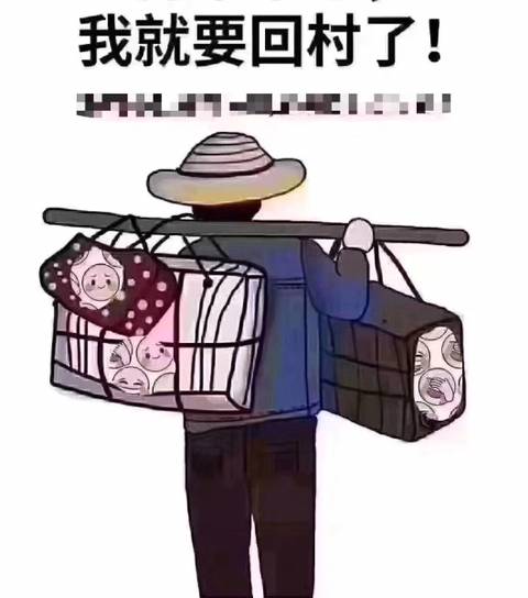 我也要回家過年，不管混得怎么樣？