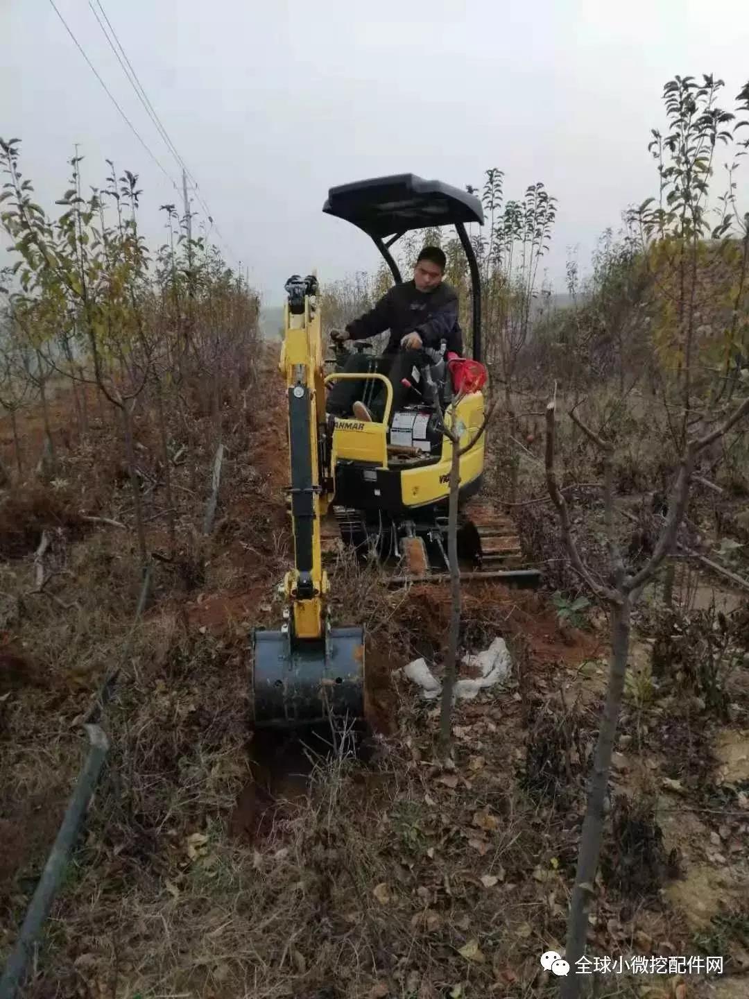 出售洋马17一百小时试驾机