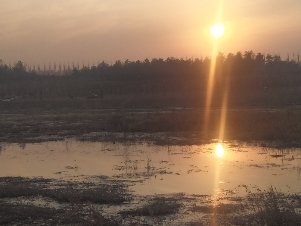 夕陽無限好，只是近黃昏