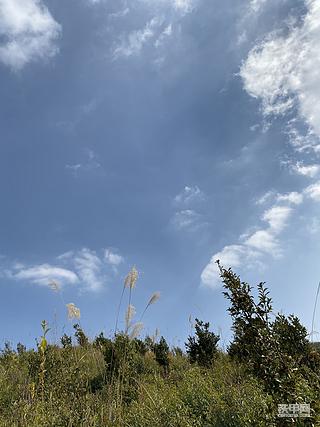 走进大氧吧，洗肺洗心情