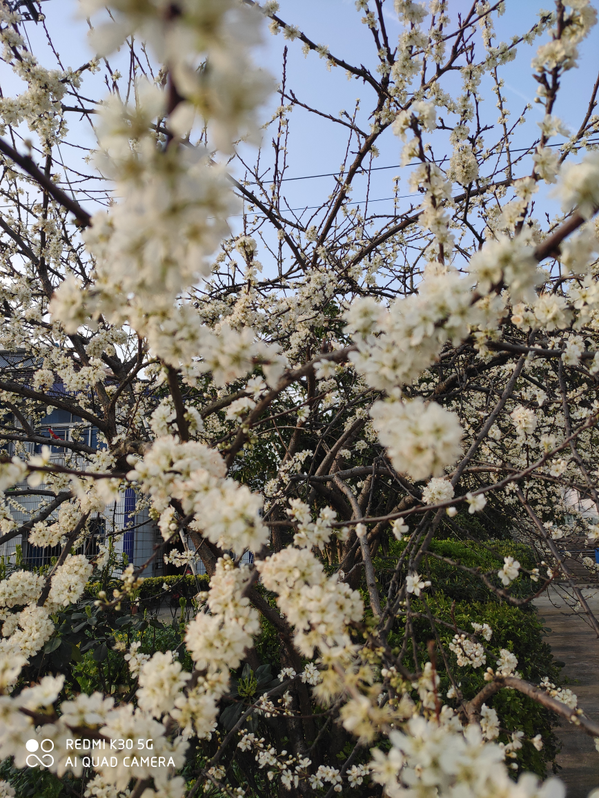 春暖花開