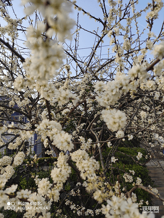 春暖花开