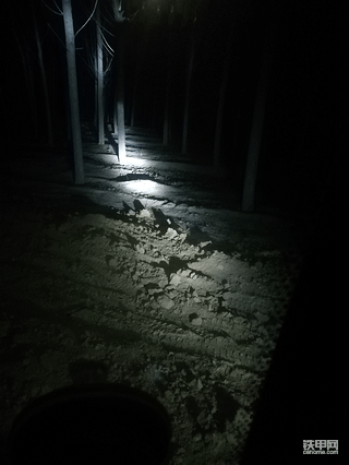 躺在家里就是为国家做贡献时想要的日子到了