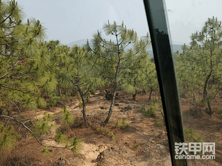 大王叫我來(lái)巡山，逛吃逛吃搞成營(yíng)救去了。
