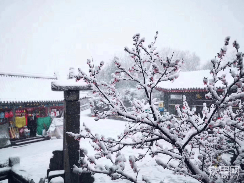 瑞雪兆丰年