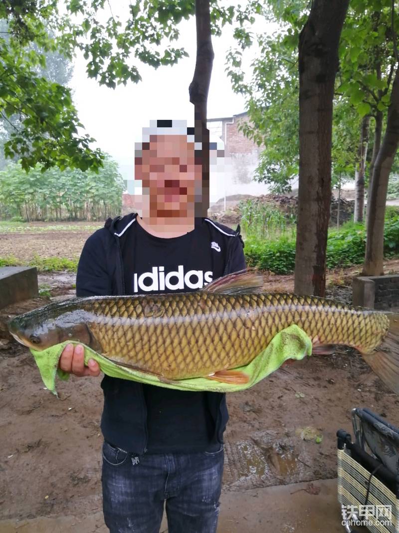 又一次釣上來野生大草魚， 16.5斤