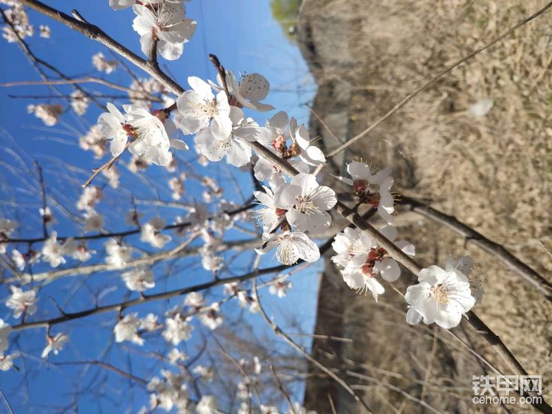 【北京】3月份，一个春暖花开的季节，我又回到了我的铁甲战场，北京……