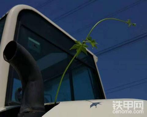 挖机又没活了，兄弟们晒铁最长晒多久？？