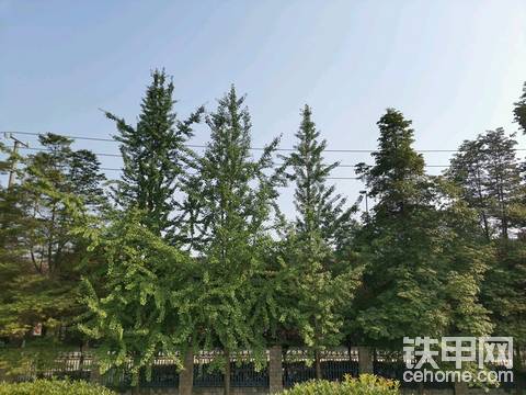 成都又是 艳阳天