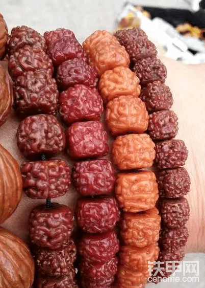 各位大佬们，眼睛高度近视，戴眼镜能学开挖机吗？