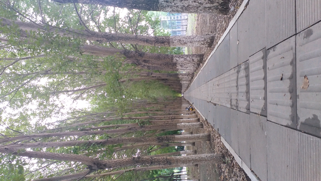 沈陽(yáng)