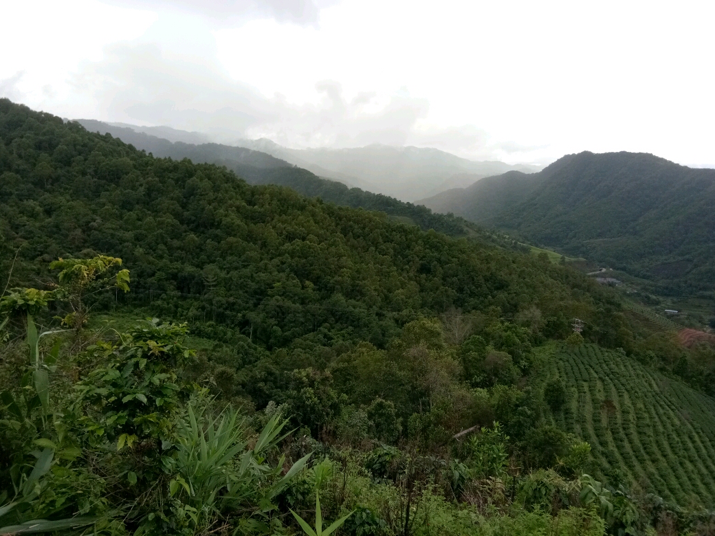 懷念已逝去的青春！