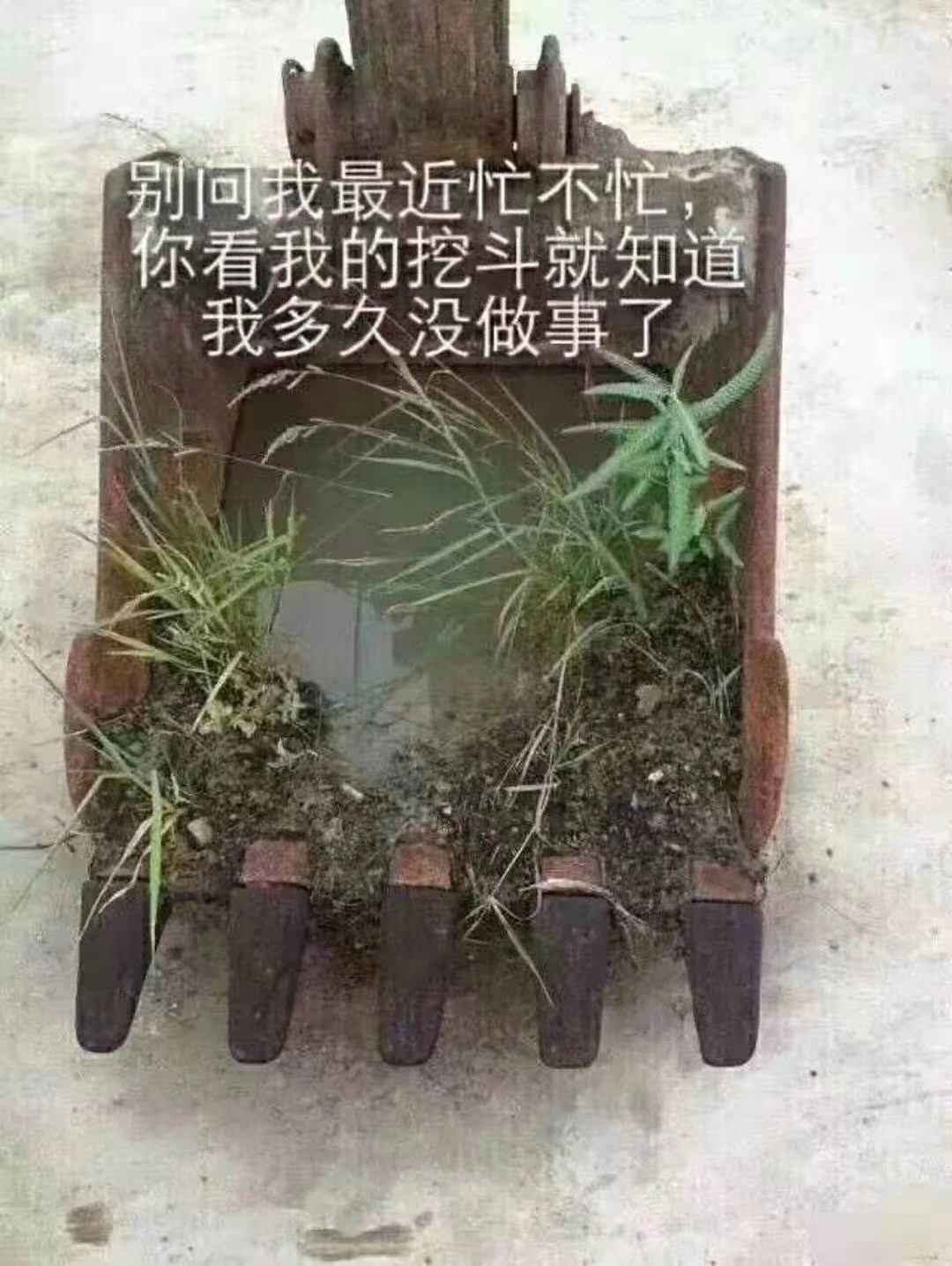 雨呀雨，還是雨，挖斗的草好高了