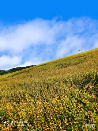 在大涼山礦山的那些事