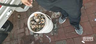 天津汉沽走一走