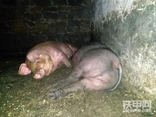 深夜无法入眠