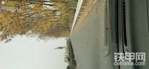 秋风扫落叶