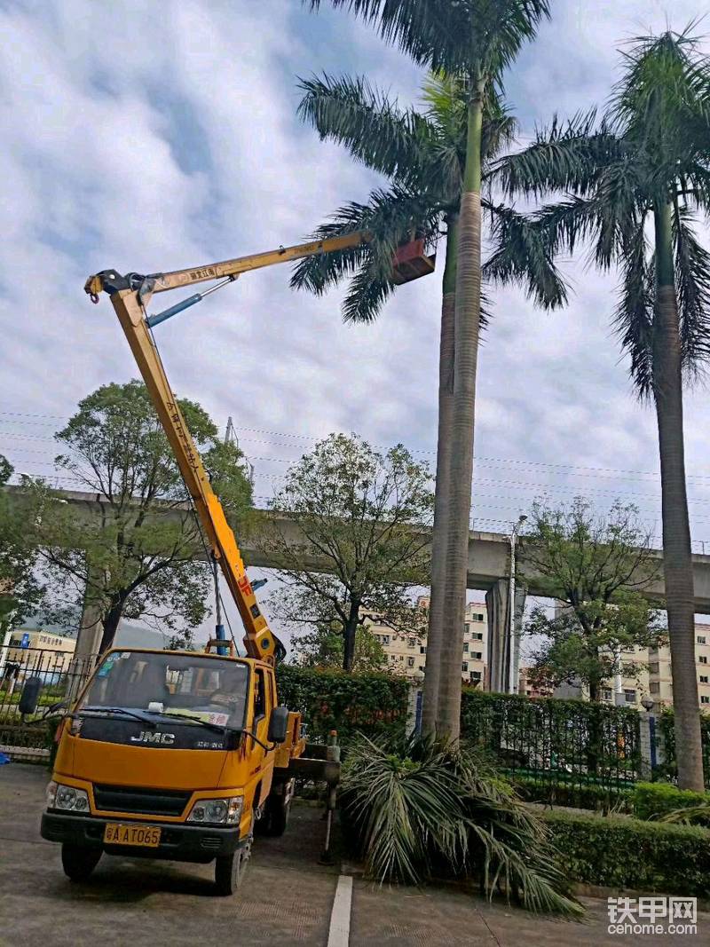 綠化園林樹(shù)枝怎么辦路燈吊籃車為解憂-帖子圖片