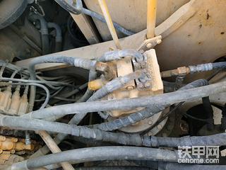 為什么浙江溫州的小松不能買？