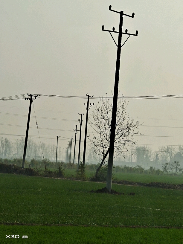 【我要上頭條】一點經驗教你怎么立電線桿