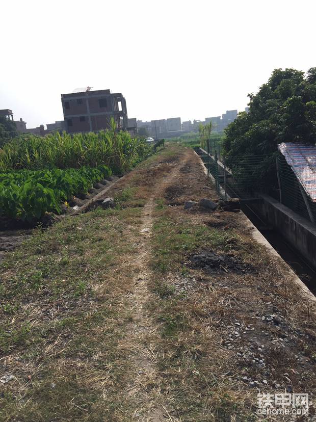 最后一节路基准备开始清理表土。