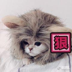 我的铁甲日记第九天《告诫新入行司机》