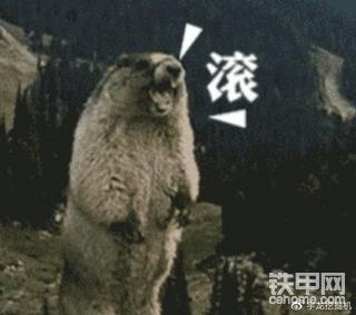 我的铁甲日记第九天《告诫新入行司机》