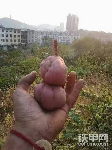 剩了兩個蛋，為什么很多中國人非要過什么洋人的節(jié)呢？在過段時間過春節(jié)不香嗎？平時抽十幾塊錢的煙，過年又可以裝逼抽華子了！