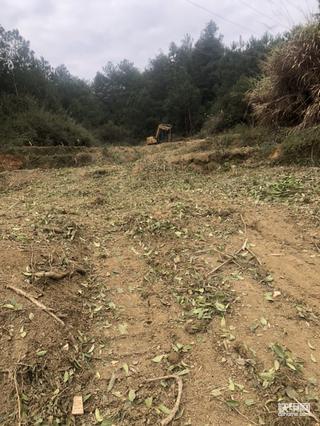 ［铁甲日记第十二天］接着耙土接着干