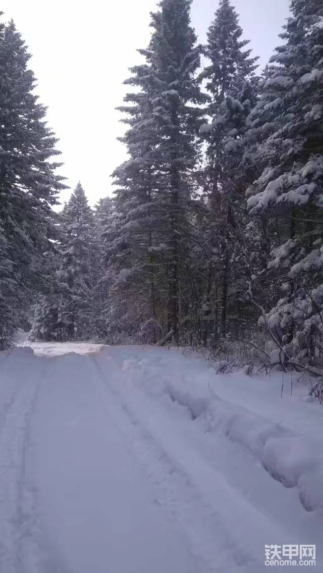 美丽的雪景，与大家分享一下。