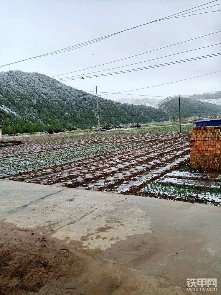 2020年嚴(yán)寒中終有春色，經(jīng)歷過(guò)風(fēng)雨，也憧憬著彩虹，