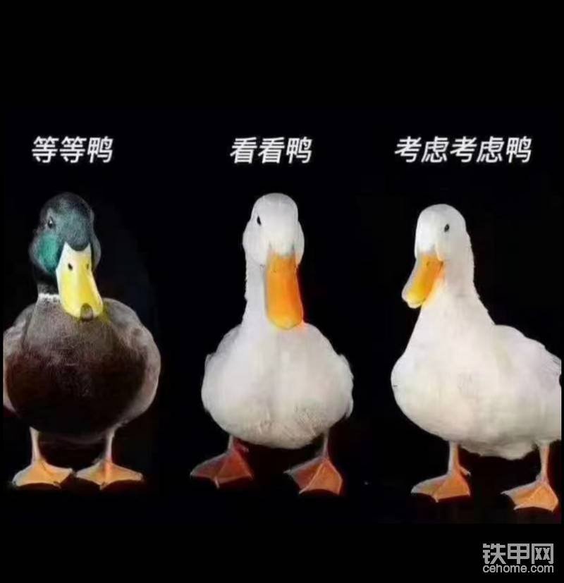 你是不是也再猶豫呢?