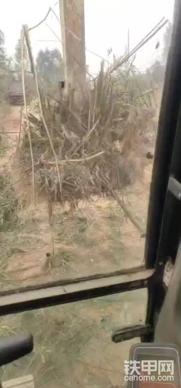 這是我自己早陣子在跟竹子，草，柴，垃圾，杠起來了，哈哈