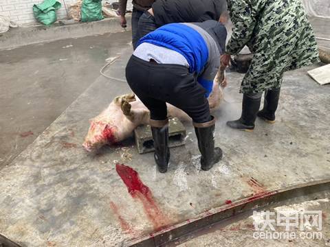 【铁甲日记二十三】杀年猪了